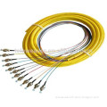 Fiber Optic Bundle Pigtail with st connector